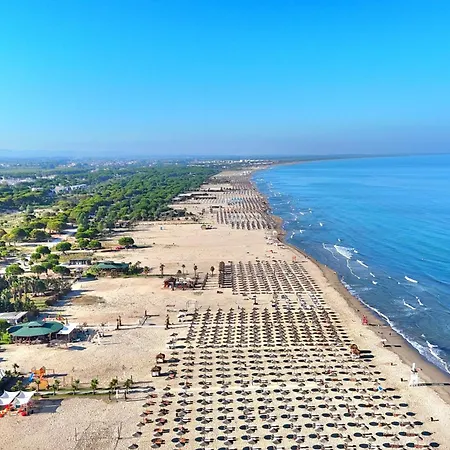 Sunny - 273 ドゥラス